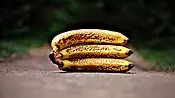 Muz (Banana)